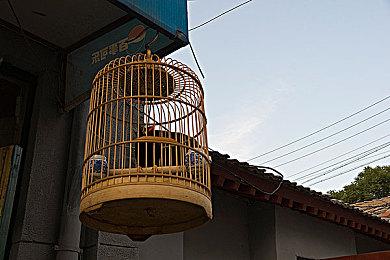 RTX4090运行《巫师3》8K+上百Mod 这画面太绝美